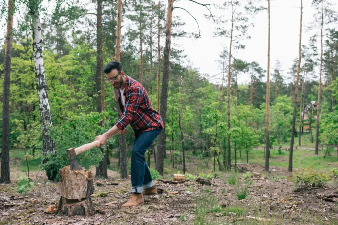 bearded lumberman in plaid shirt and denim jeans cutting wood with ax in forest man cutting tree
