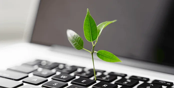 Junges grünes Blatt wächst auf Laptop-Tastatur – Symbol für nachhaltige Rechenzentren